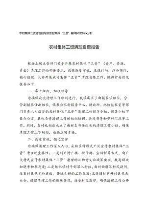 2024年农村集体三资清理自查报告、村集体“三资”管理存在的问题分析.docx