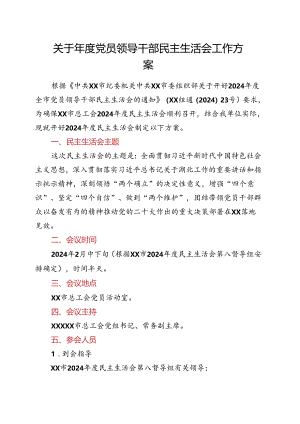 关于年度党员领导干部民主生活会工作方案.docx