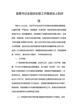县委书记全县田长制工作推进会上的讲话.docx