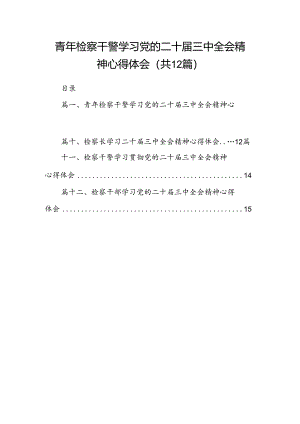 青年检察干警学习党的二十届三中全会精神心得体会（共12篇）.docx