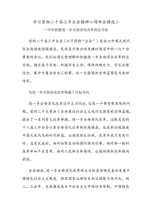 学习贯彻二十届三中全会精神心得体会精选二.docx