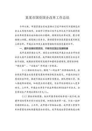 某某市国资国企改革工作总结.docx