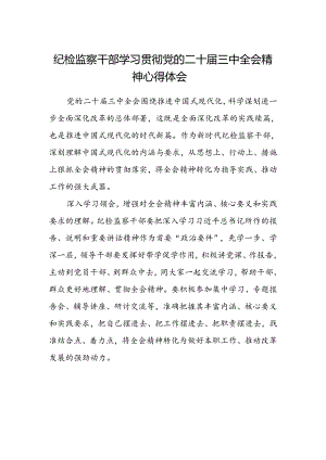 纪检监察干部学习贯彻党的二十届三中全会精神心得体会范文.docx