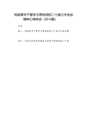 （15篇）刑庭青年干警学习贯彻党的二十届三中全会精神心得体会（最新版）.docx