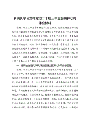 乡镇长学习贯彻党的二十届三中全会精神心得体会材料.docx