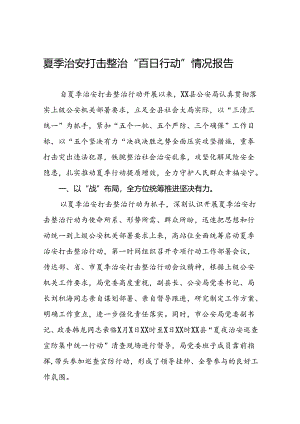 公安推进2024年夏季治安打击整治工作总结十八篇.docx