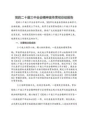 党的二十届三中全会精神宣传贯彻总结报告.docx