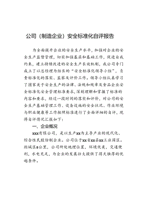 公司（制造企业）安全标准化自评报告.docx
