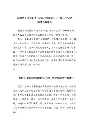 基层老干部党支部书记学习贯彻党的二十届三中全会精神心得体会8篇（详细版）.docx