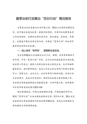 派出所开展2024年夏季治安打击整治“百日行动”情况总结报告(十五篇).docx