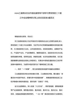 2024工信局长在全市县处级领导干部学习贯彻党的二十届三中全会精神研讨班上的交流发言3篇范文.docx
