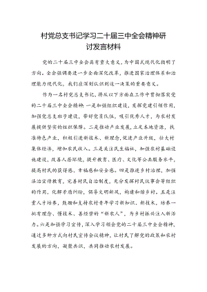 村党总支书记学习二十届三中全会精神研讨发言材料.docx