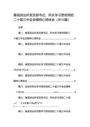 （10篇）基层派出所党支部书记、所长学习贯彻党的二十届三中全会精神心得体会（精选）.docx