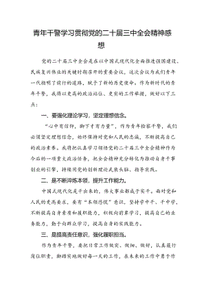 青年干警学习贯彻党的二十届三中全会精神感想.docx