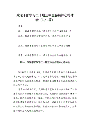 政法干部学习二十届三中全会精神心得体会（共10篇）.docx