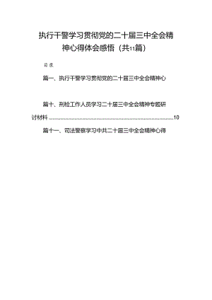 （11篇）执行干警学习贯彻党的二十届三中全会精神心得体会感悟范文.docx