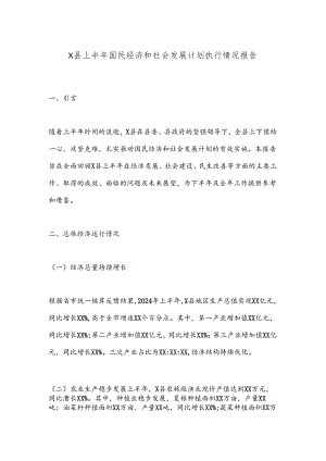 X县上半年国民经济和社会发展计划执行情况报告.docx