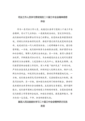 司法工作人员学习贯彻党的二十届三中全会精神感想体会六篇（最新版）.docx