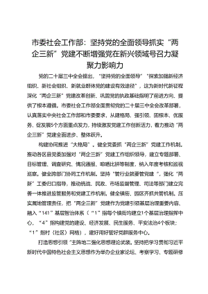 市委社会工作部部长交流发言：坚持党的全面领导 抓实“两企三新”党建 不断增强党在新兴领域号召力凝聚力影响力.docx