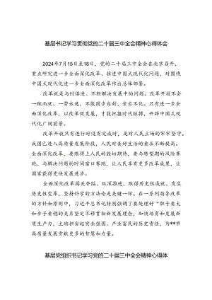 基层书记学习贯彻党的二十届三中全会精神心得体会四篇（最新版）.docx