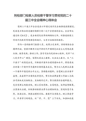 刑检部门检察人员检察干警学习贯彻党的二十届三中全会精神心得体会.docx