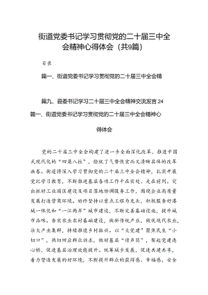 (9篇)街道党委书记学习贯彻党的二十届三中全会精神心得体会范文.docx