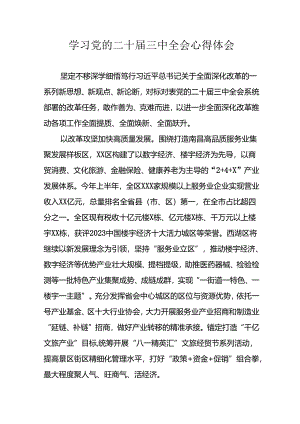 学习2024年学习党的二十届三中全会个人心得感悟 （4份）_95.docx