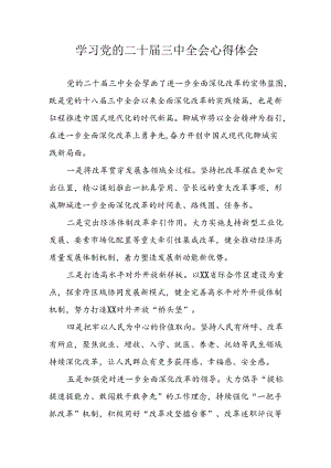 2024年学习学习党的二十届三中全会个人心得感悟 （7份）.docx