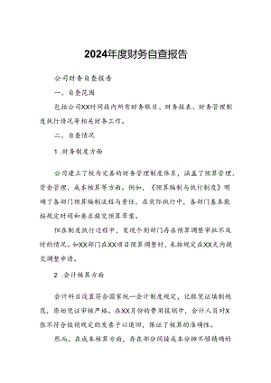 2024年度财务自查报告.docx