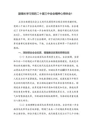 乡镇副镇长学习党的二十届三中全会精神心得体会研讨发言3篇.docx