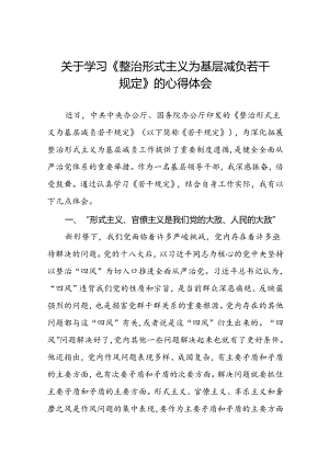 学习《整治形式主义为基层减负若干规定》心得体会十篇.docx