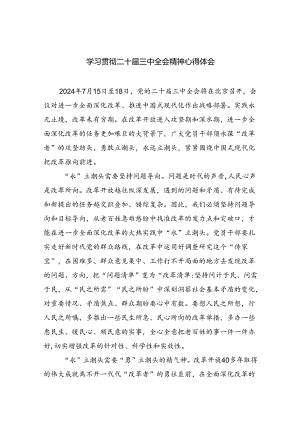 二十届三中全会专题研讨材料12篇.docx