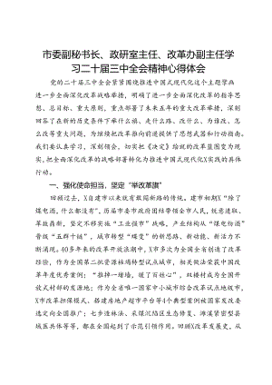 市委副秘书长、政研室主任、改革办副主任学习二十届三中全会精神心得体会.docx