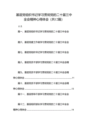 基层党组织书记学习贯彻党的二十届三中全会精神心得体会范文12篇（精选）.docx