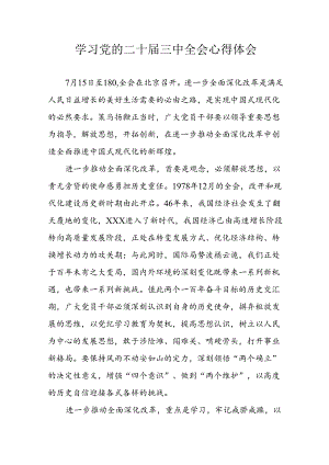 学习2024年学习党的二十届三中全会个人心得感悟 （4份）_75.docx