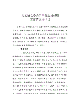 某某镇党委关于干部选拔任用工作情况的报告.docx