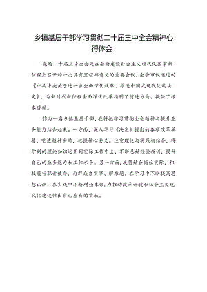 乡镇基层干部学习贯彻二十届三中全会精神心得体会.docx