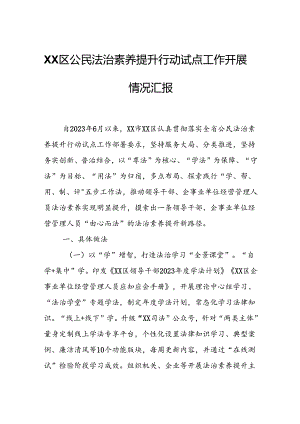 XX区公民法治素养提升行动试点工作开展情况汇报.docx
