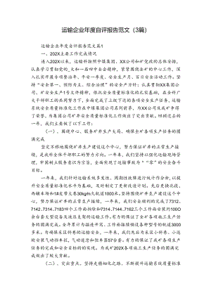 运输企业年度自评报告范文（3篇）.docx