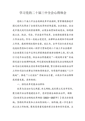 学习2024年学习党的二十届三中全会个人心得感悟 （3份）_74.docx