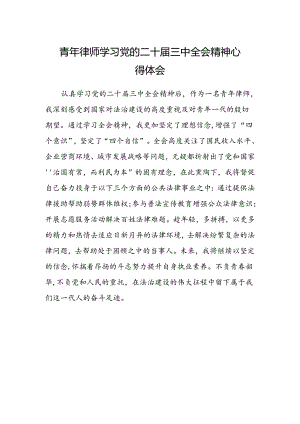 青年律师学习党的二十届三中全会精神心得体会.docx
