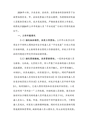 乡2024年上半年吸毒人员“平安关爱”行动工作情况报告.docx