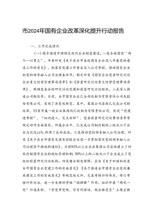 市2024年国有企业改革深化提升行动报告.docx