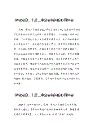 2024年学习贯彻二十届三中全会精神心得体会研讨发言材料二十七篇.docx