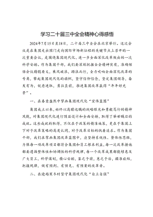 学习二十届三中全会精神心得感悟.docx