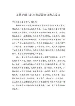 某某党组书记巡察反馈会议表态发言.docx