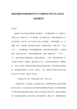 2024年副职在检察院理论学习中心组集体学习研讨会上的交流发言2篇范文.docx