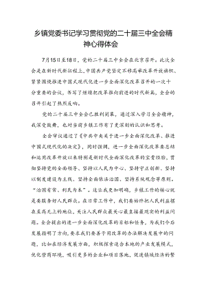 乡镇党委书记学习贯彻党的二十届三中全会精神心得体会范文.docx