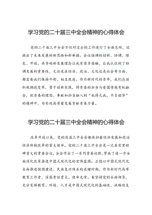 学习党的二十届三中全会的心得体会发言材料二十六篇.docx