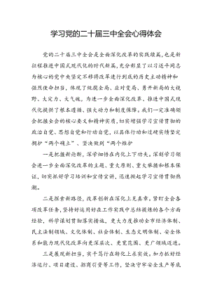 学习2024年学习党的二十届三中全会个人心得感悟 （4份）_51.docx